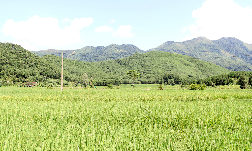 Bắc Giang: Phê duyệt kế hoạch sử dụng đất huyện Yên Thế, Sơn Động